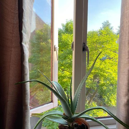 Cozy Private Room For Single Use London Ngoại thất bức ảnh